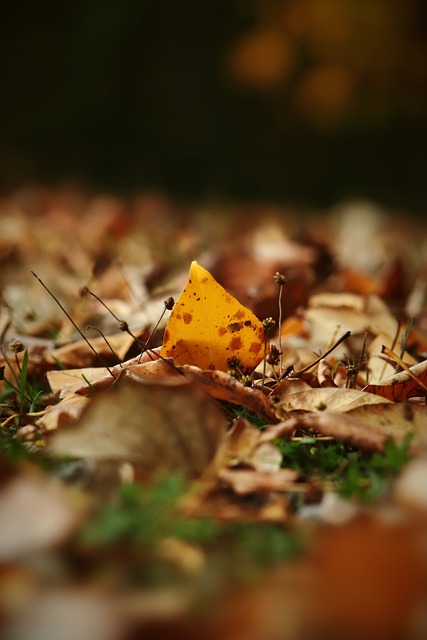 澎湃：泰州开建“苏超”冠军奖杯打卡点，预计12月上旬亮相